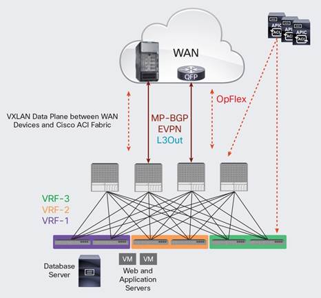 BGP+OpFlex自動三層擴展