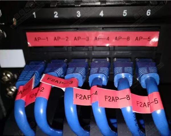 勵(lì)步英語網(wǎng)絡(luò)改造優(yōu)化施工現(xiàn)場(chǎng)圖2